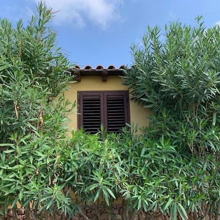 Villa Maveda, Un Dammuso Immerso Nel Verde Lampedusa Exterior photo
